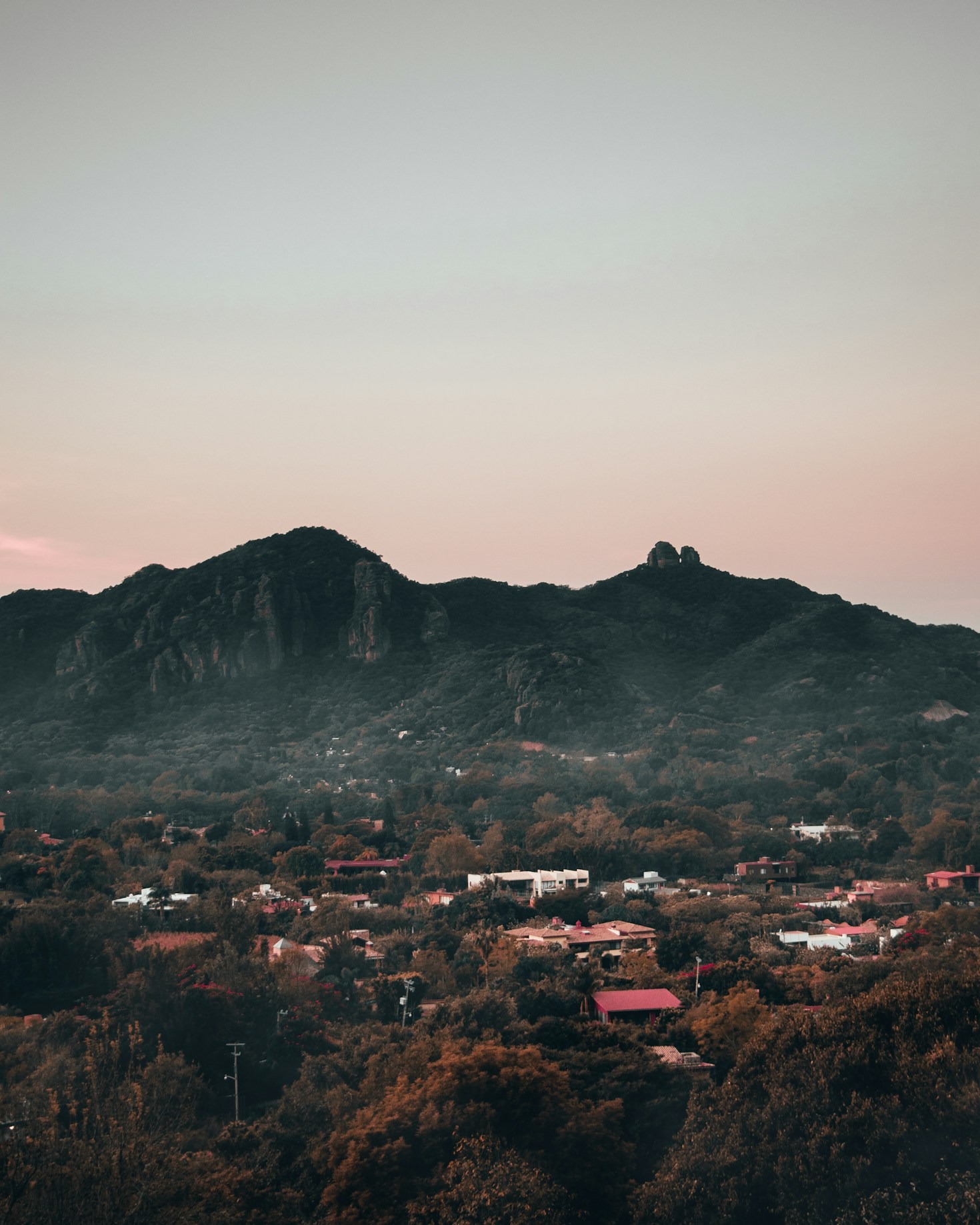 Creating Opportunities: Business and Tourism Synergy